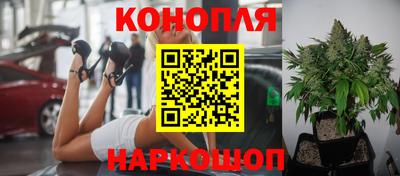 мяу мяу мука Усть-Джегута