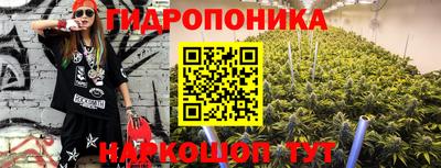 мяу мяу мука Усть-Джегута