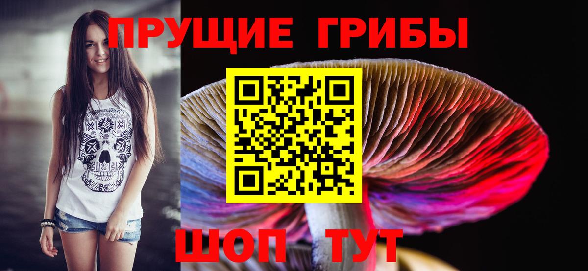 Псилоцибиновые грибы прущие грибы Красный Сулин